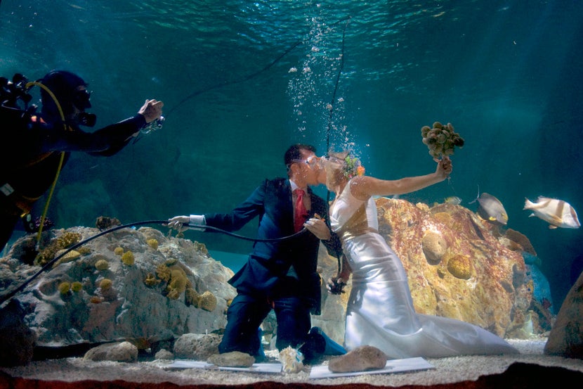 img-underwater-wedding