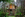 The final tree house is nestled in Hawaiian jungle. Photo courtesy of Airbnb.