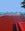 Seeing red in Image courtesy of The Library via Facebook.