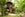 Earn Qantas or Virgin miles for your treehouse rental outside of Chiang Mai, Thailand.