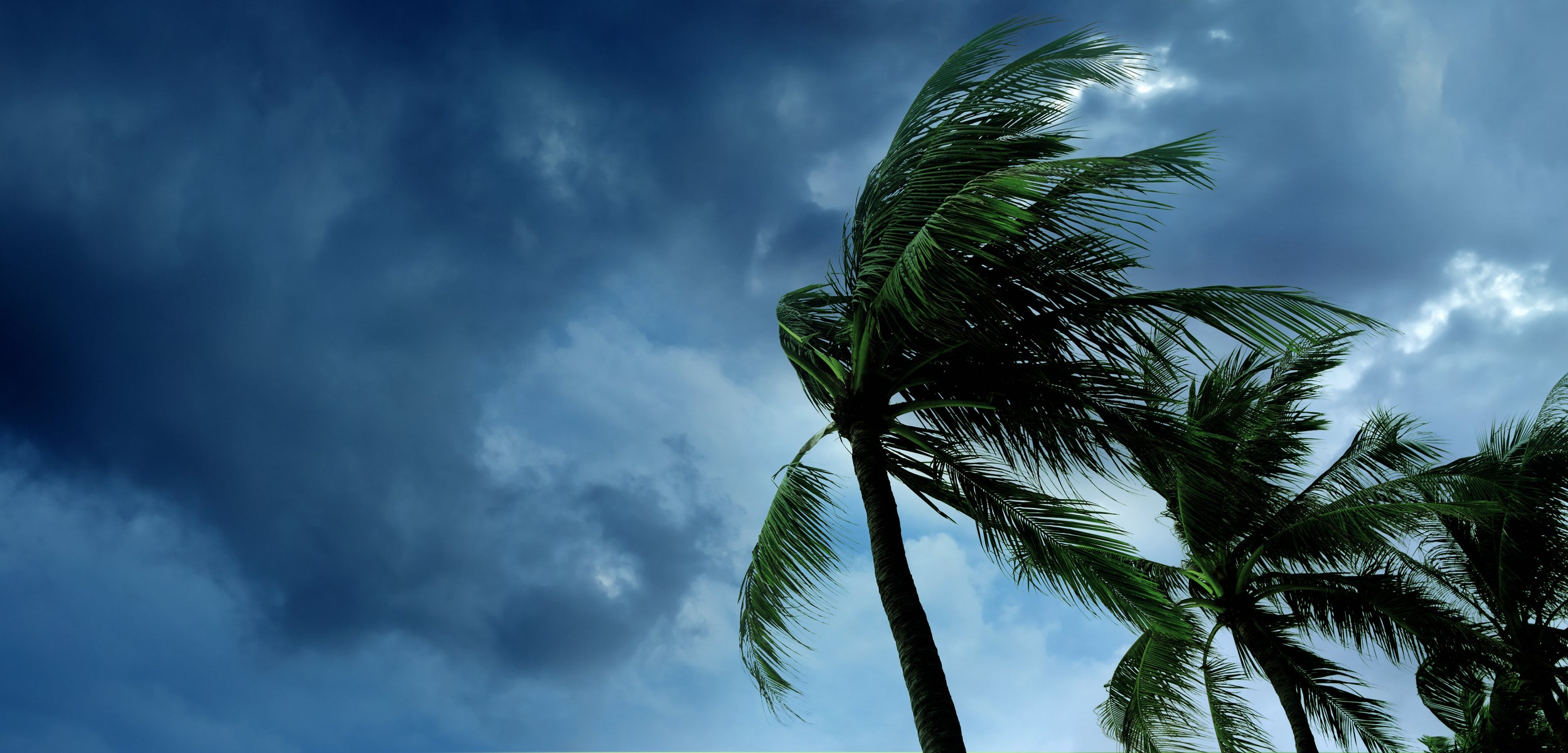tropical storm