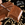 18920660_10154920927748541_6235512232430068780_n
