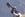See condors up close at the Cruz de Condor viewpoint.