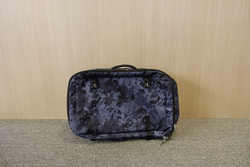 Travel Gear Review: PacSafe's Anti-Theft Carry-On Backpack - The