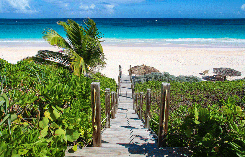 The couple found paradise at Harbour Island in the Bahamas.