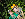Mike and Anne tandem ziplining Samaná, Dominican Republic.