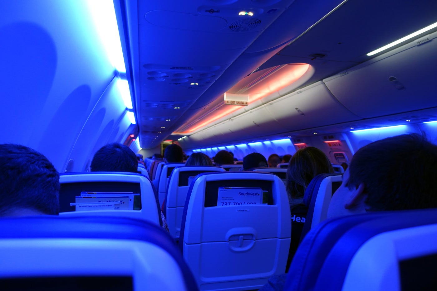 Flight Review: Southwest 737 MAX 8 From Dallas to Houston