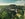Treetop jungle scenery_preview