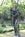 umlauf