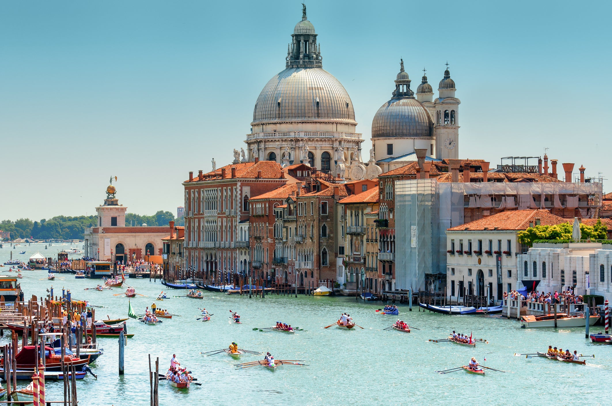 Venetian Regatta