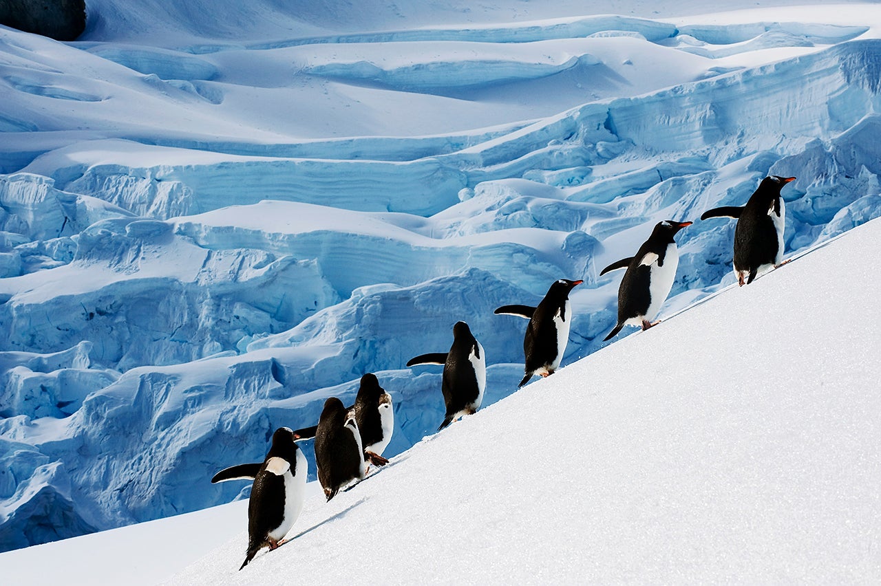 'I-Spent-Thanksgiving-in-Antarctica'--The-Case-For-Vacation-Over-Tradition
