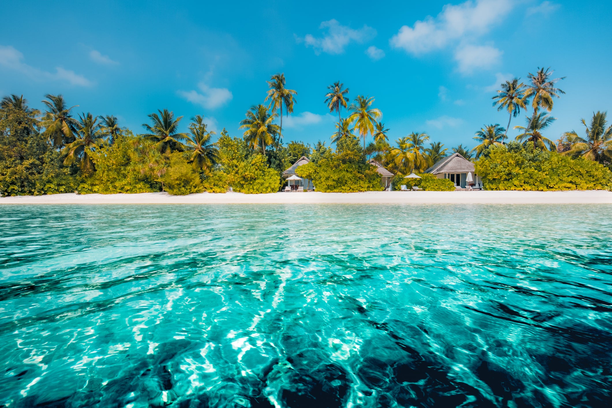 Perfect beach view. Summer holiday and vacation design. Inspirational tropical beach, palm trees and white sand. Tranquil scenery, relaxing beach, tropical landscape design. Moody landscape