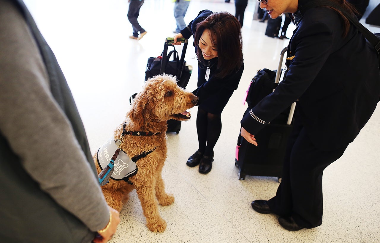 Fun Facts About America's Busiest Airports in 2019 The Points Guy