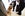 Flight attendants pet a therapy dog named Toby inside Terminal 2 at San Francisco International Airport. (Photo by Justin Sullivan/Getty Images)