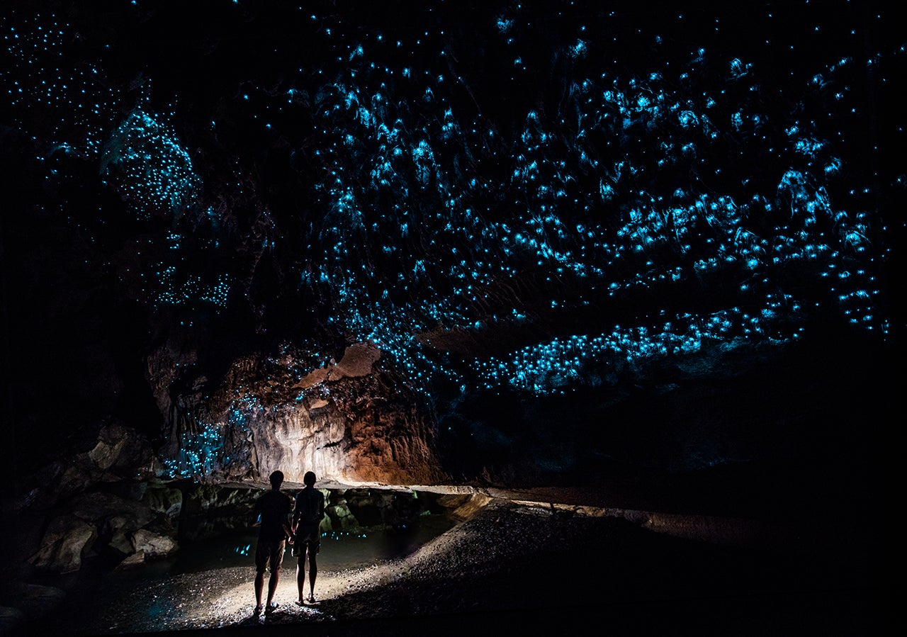 See One Of New Zealands Coolest Attractions The Glowing Waitomo Caves