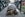 Try to save these giant Tortoises, natives to Zanzibar and the Sychelles, from plastic! turtle