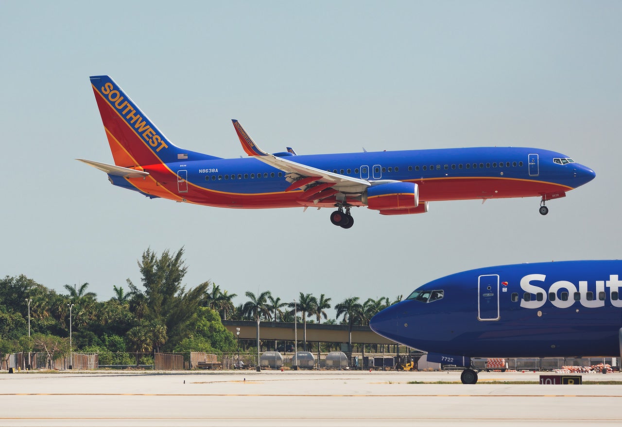 southwest plane support animal