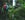 (Photo by Nurhadi Cahyono via Unsplash)
