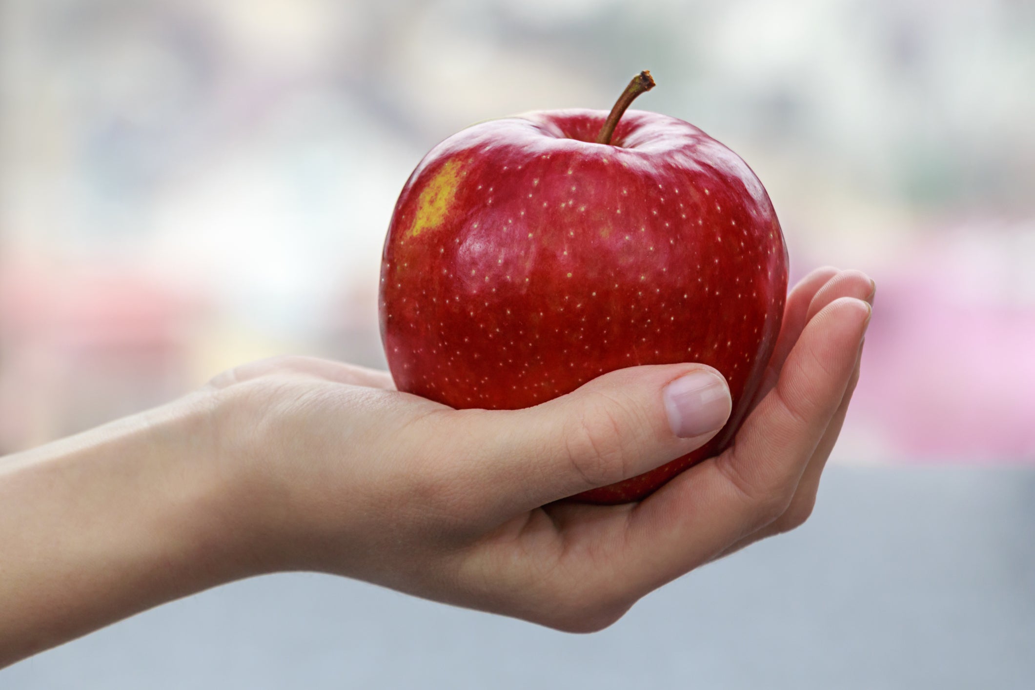 Close-Up Of Hand Holding Apple