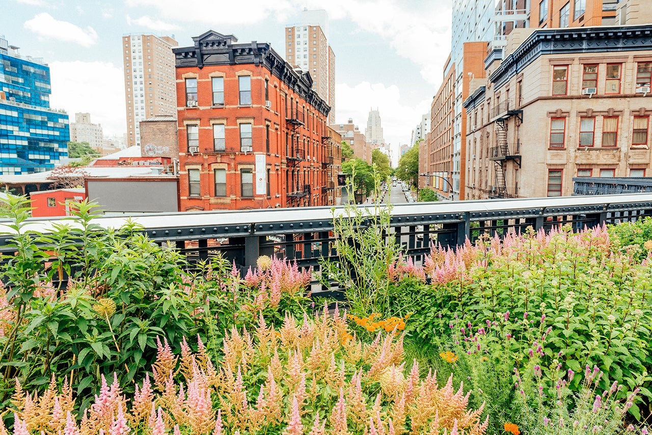 Exploring the High Line in the warmer months. Photo by Boogich via Getty Images.