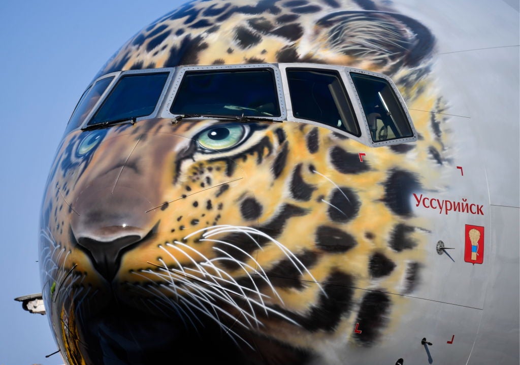 Rossiya Boeing 777-300 with Amur leopard painted on its nose cone arrives in Vladivostok