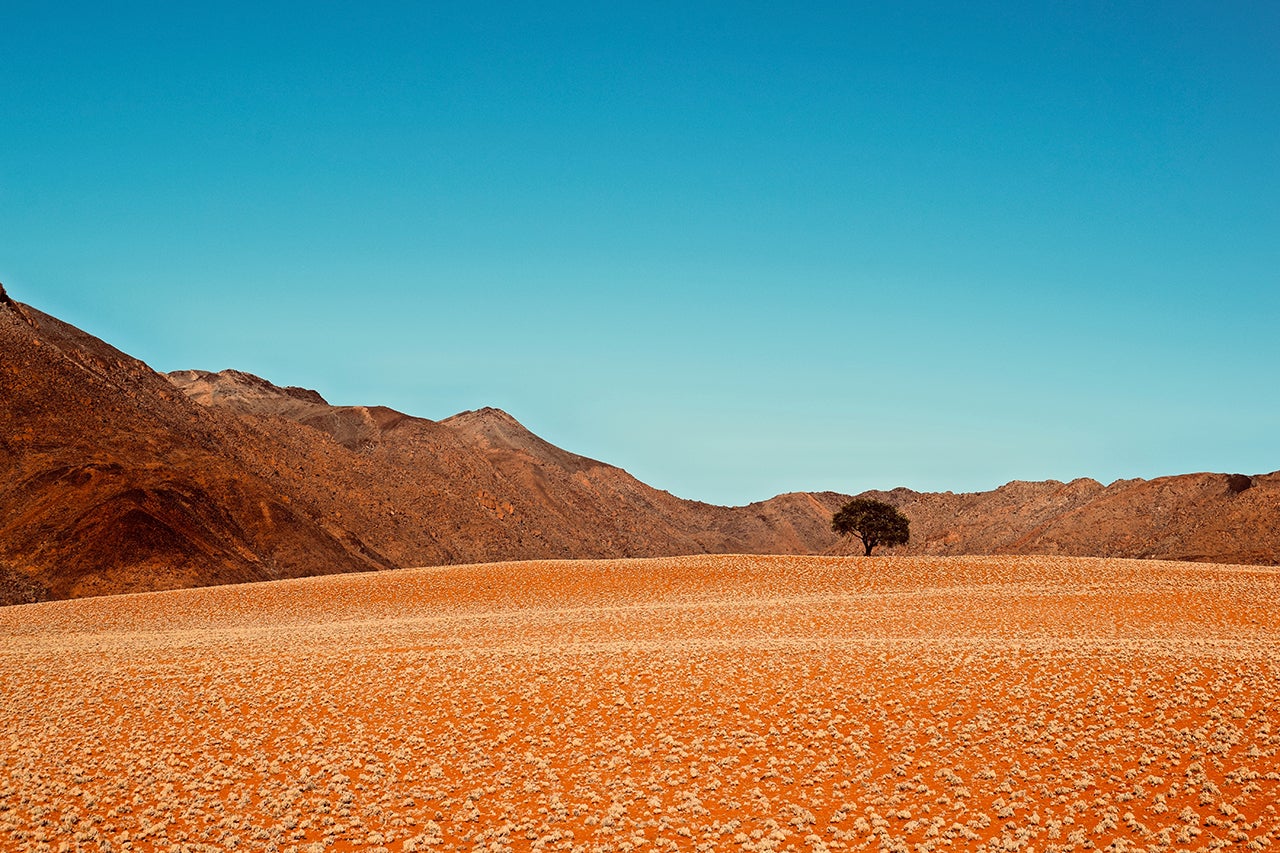 Royalty-inspired-namibia-desert