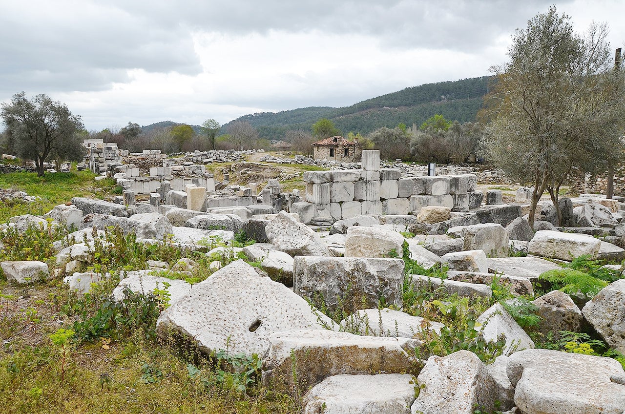 Ruins near Bargylia