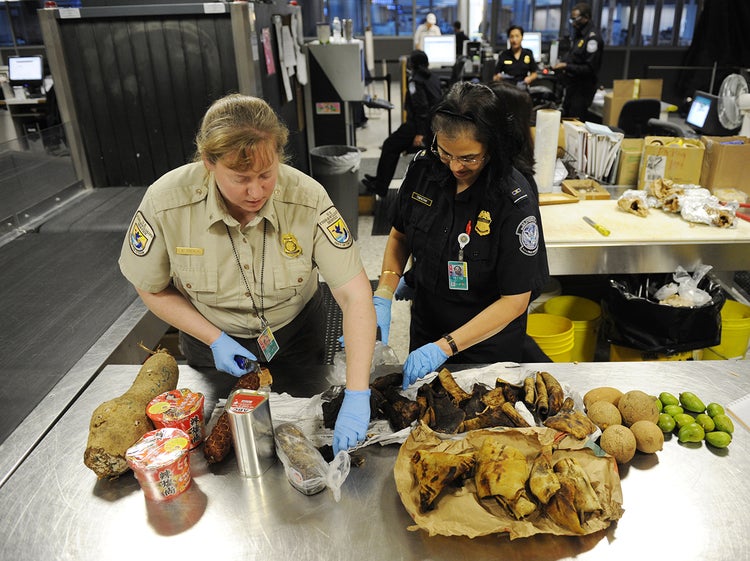 How to Avoid a 500 Fine at Customs and Border Protection The Points Guy