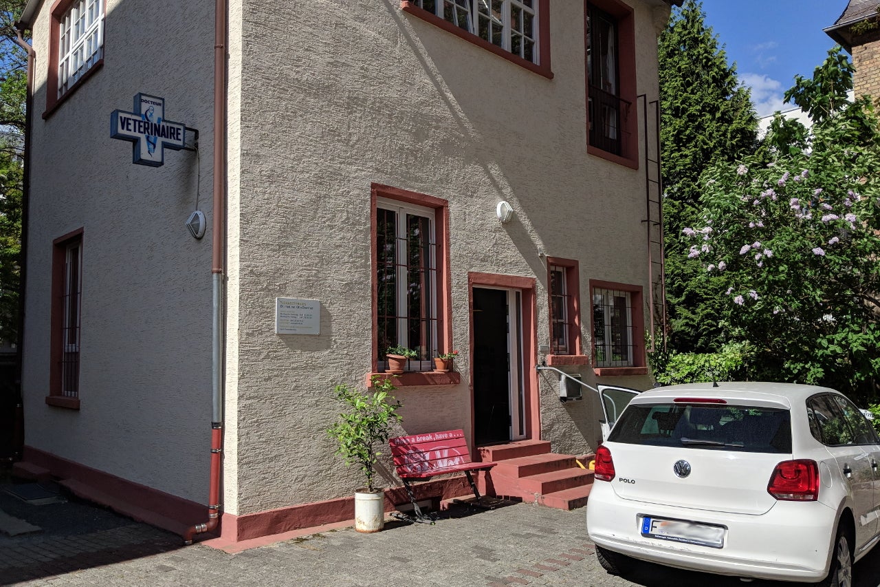 How and Why to Get a European Union Pet Passport