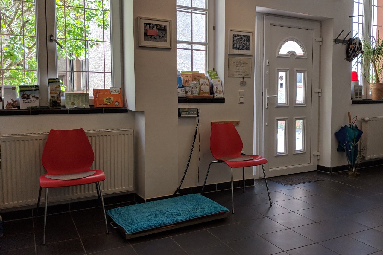 How and Why to Get a European Union Pet Passport