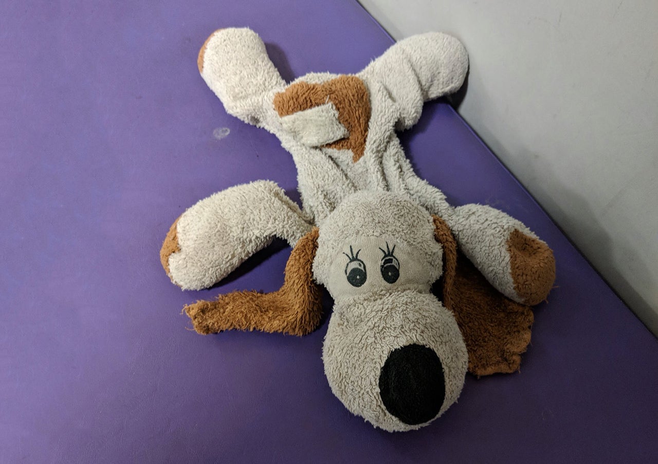 lost stuffed animal