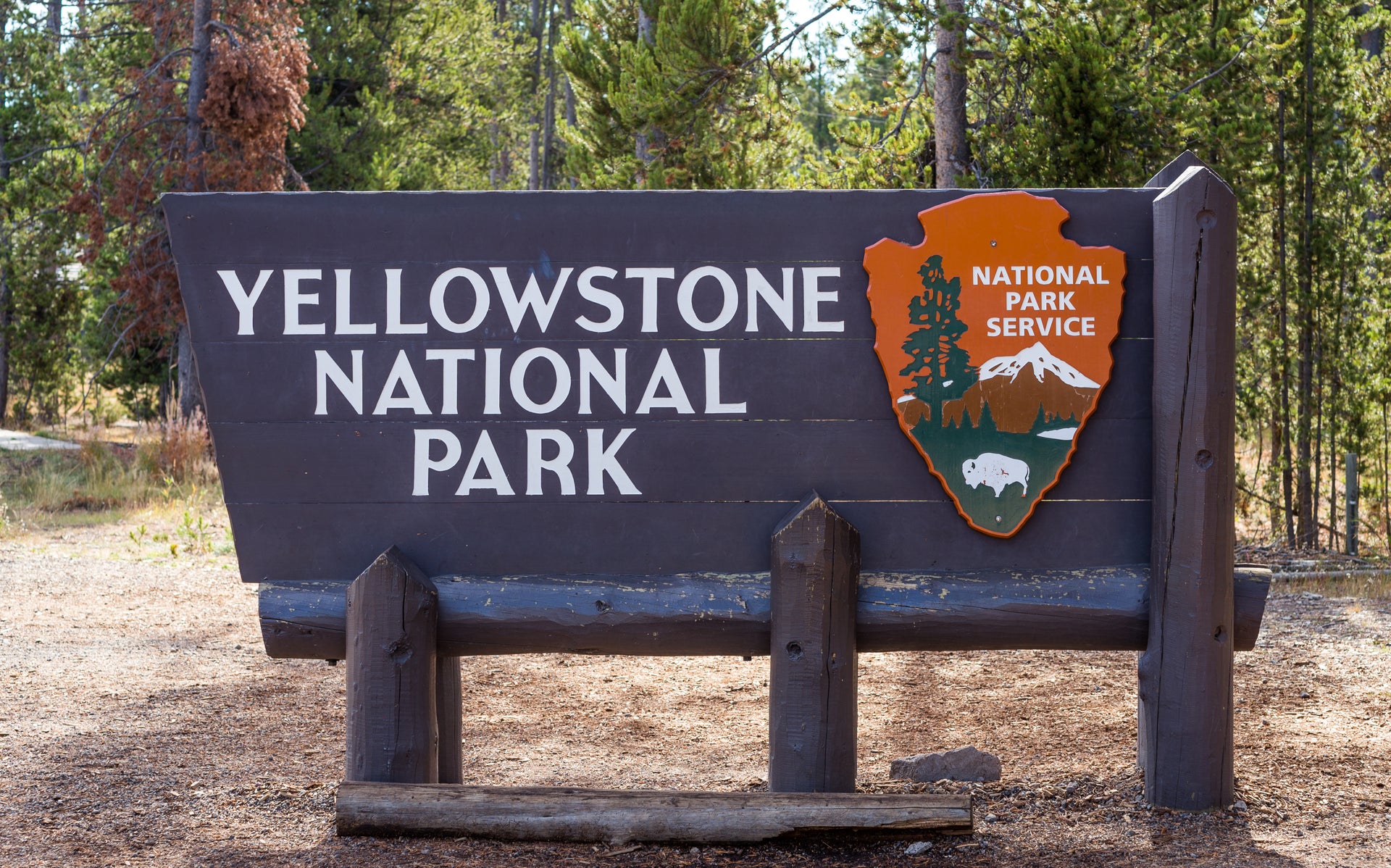 Bizarre Events Are Unfolding at Yellowstone National Park The Points Guy