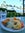 Use a Hyatt Explorist Club Access award at the Hyatt Regency Maui