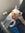 Darcy the frenchie was given oxygen on the JetBlue flight. Photo by Michele and Steven Burt.