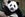 TOPSHOT - One-year-old female giant panda cub Nuan Nuan reacts inside her enclosure during joint birthday celebrations for the panda and its ten-year-old mother Liang Liang at the National Zoo in Kuala Lumpur on August 23, 2016.Giant pandas Liang Liang, aged 10, and her Malaysian-born cub Nuan Nuan, 1, were born on August 23, 2006 and August 18, 2015 respectivetly. / AFP / MOHD RASFAN (Photo credit should read MOHD RASFAN/AFP/Getty Images)