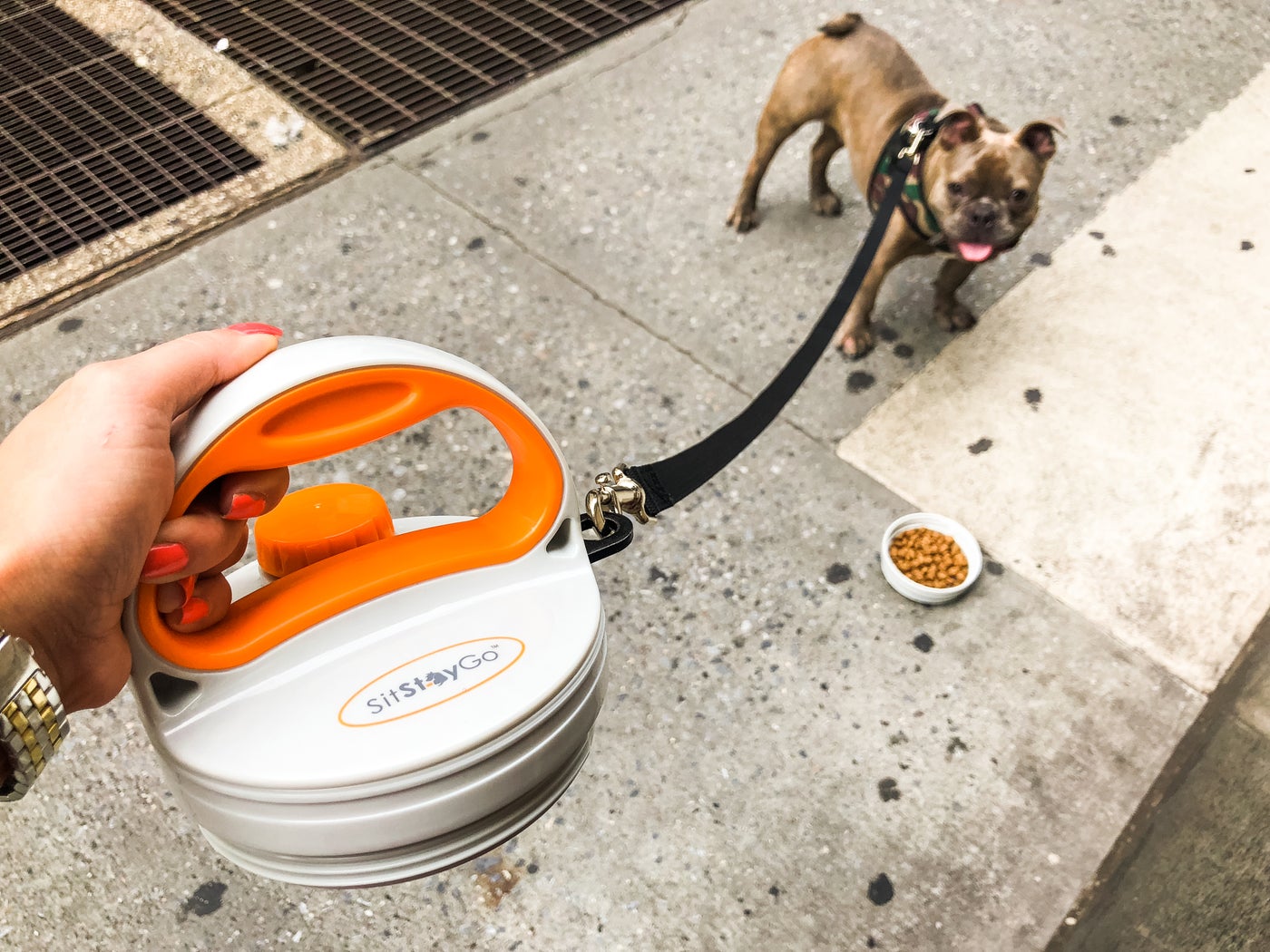 12 Amazing Pet Travel Accessories