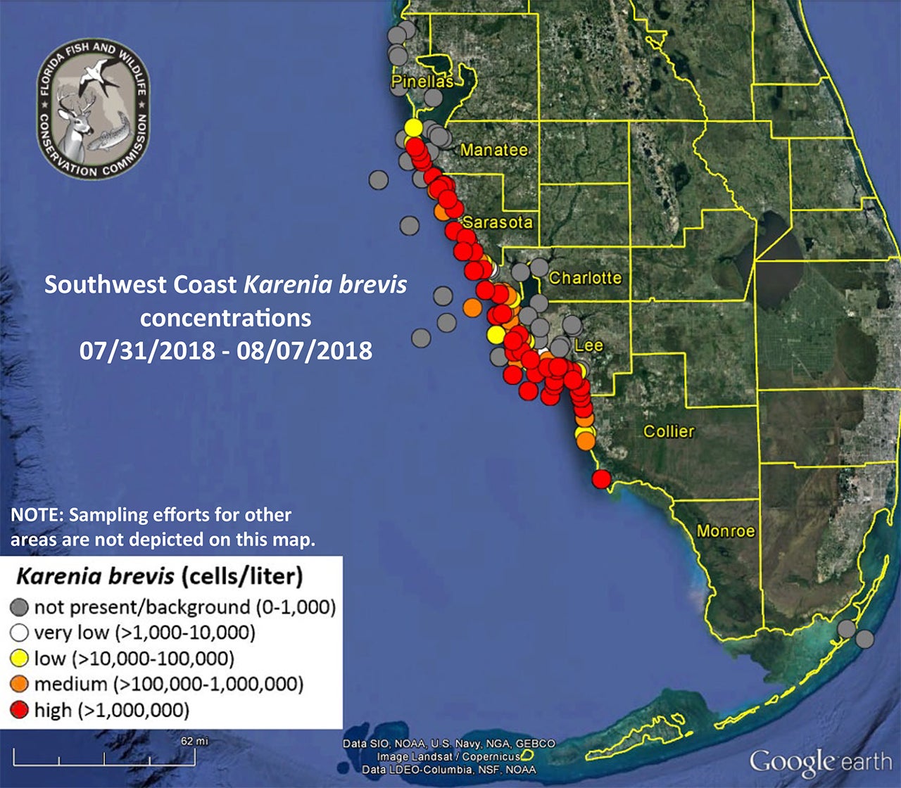 Everything You Need to Know About Florida’s Killer Red Tide