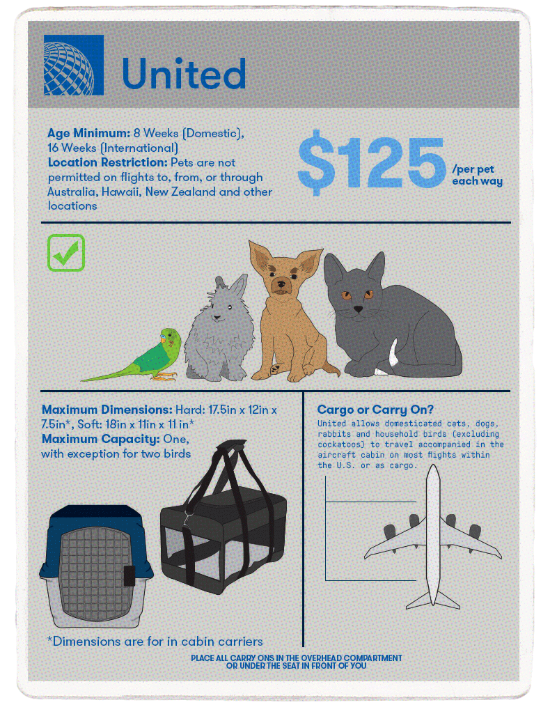 airline pet weight limit