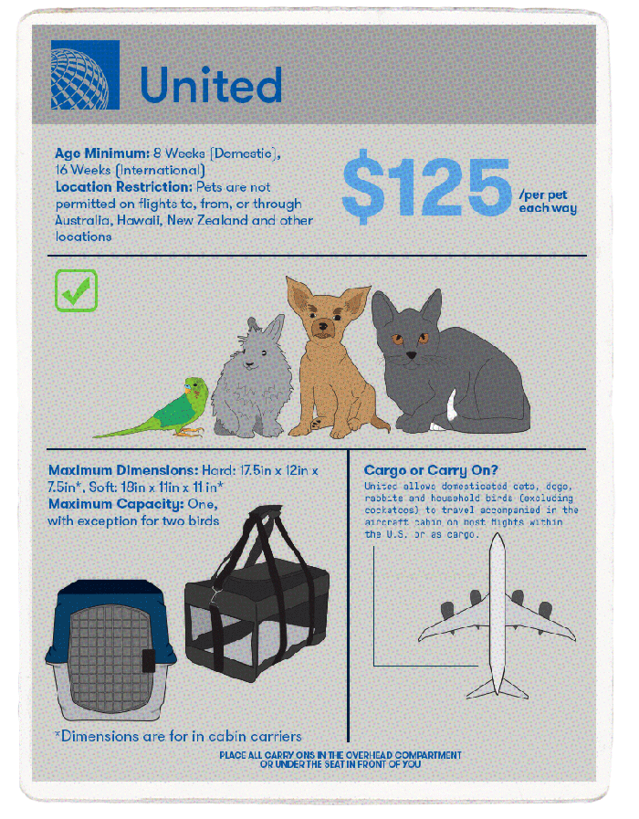 The best airlines for pet travel