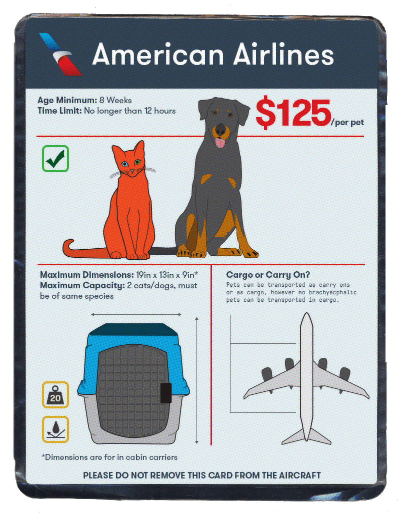 us airlines dog travel