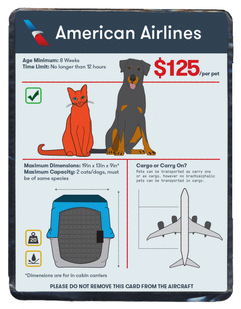 The Best Airlines for Pet Travel The Points Guy