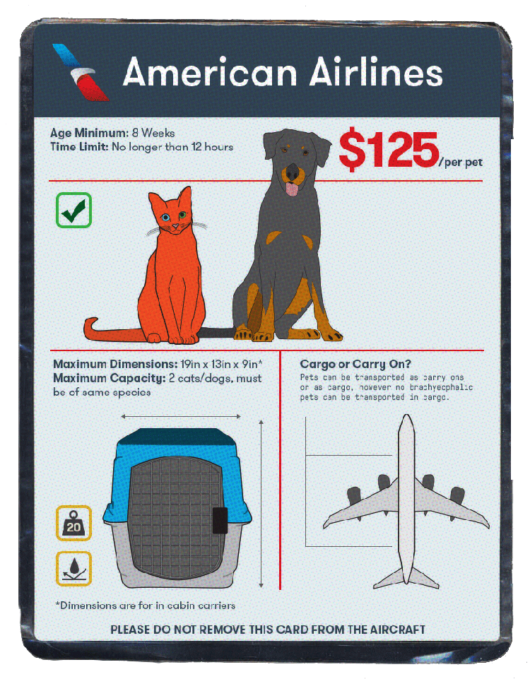 The Best Airlines for Pet Travel The Points Guy