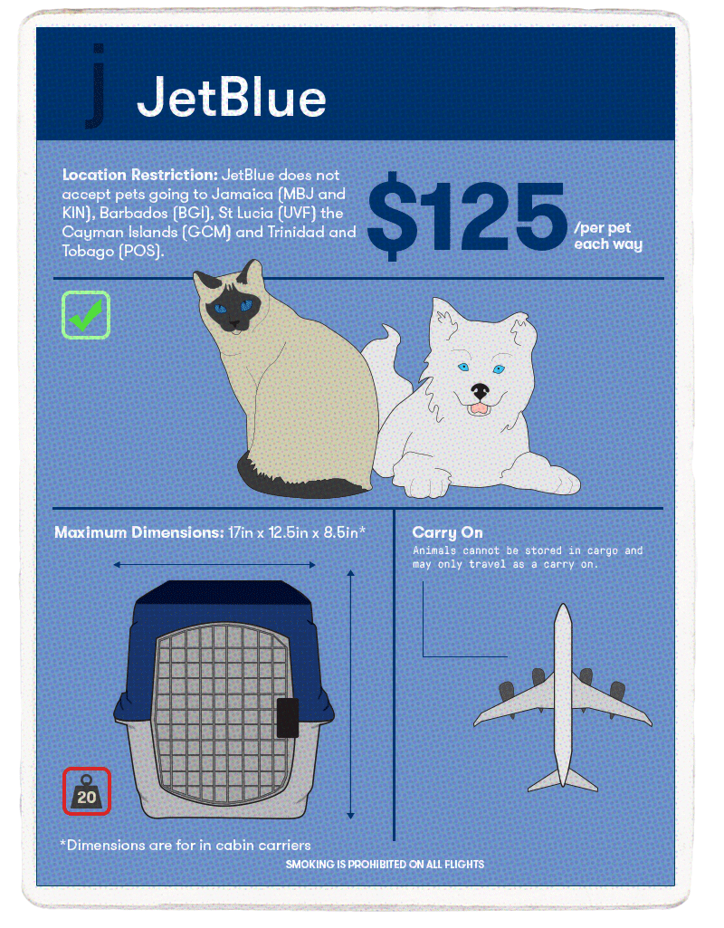 international pet travel airlines