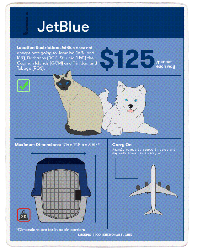The Best Airlines for Pet Travel The Points Guy