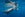 Whale shark (Rhincodon typus), Isla Mujeres, Cancun, Mexico, Caribbean Sea.