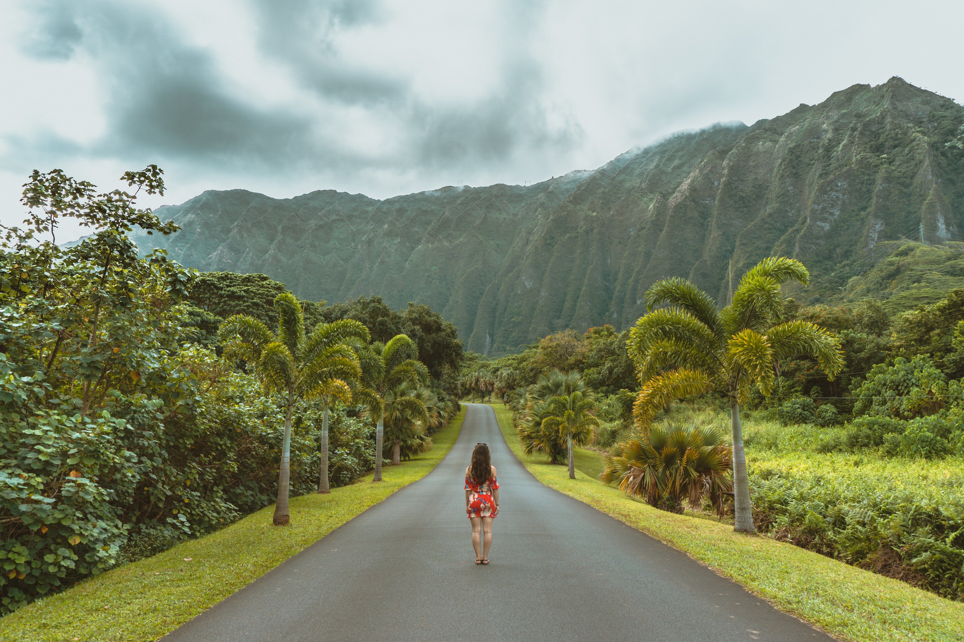 hawaii / Ho'omaluhia Botanical Garden, Kaneohe, United States. image courtesy of Wild & Away / Unsplash.