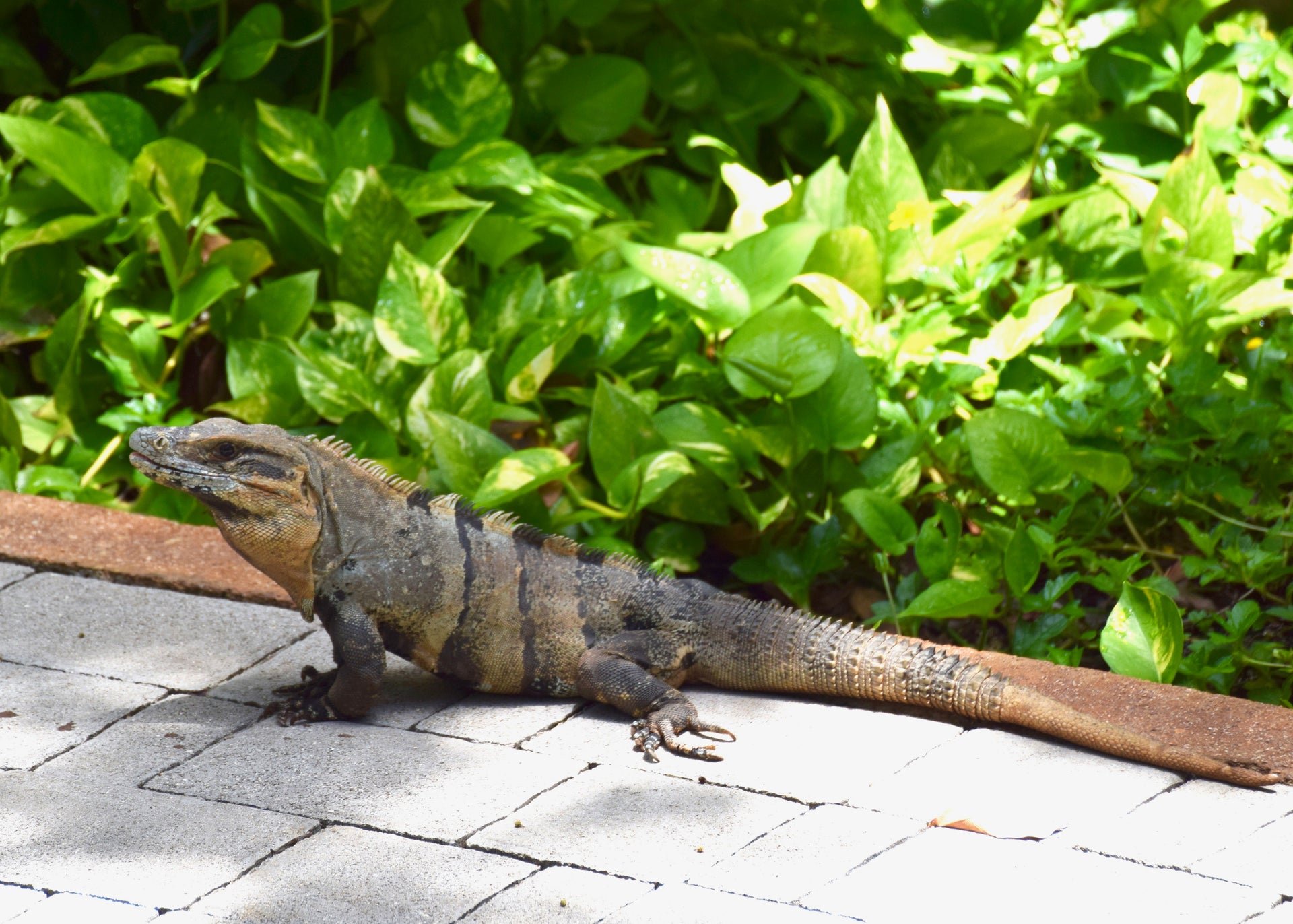 playa-del-carmen-what-to-see-and-do-at-this-lgbt-family-friendly
