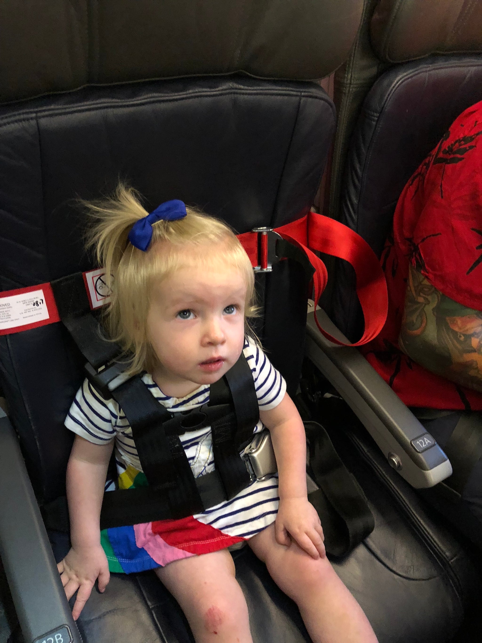 How to Know If the FAA-Approved CARES Harness Is Right for Your Kid ...