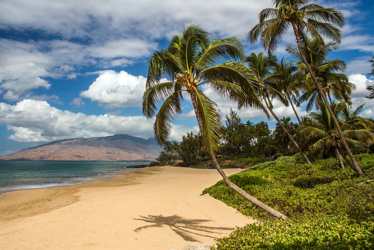 Charlie Young Beach Maui, Hawaii