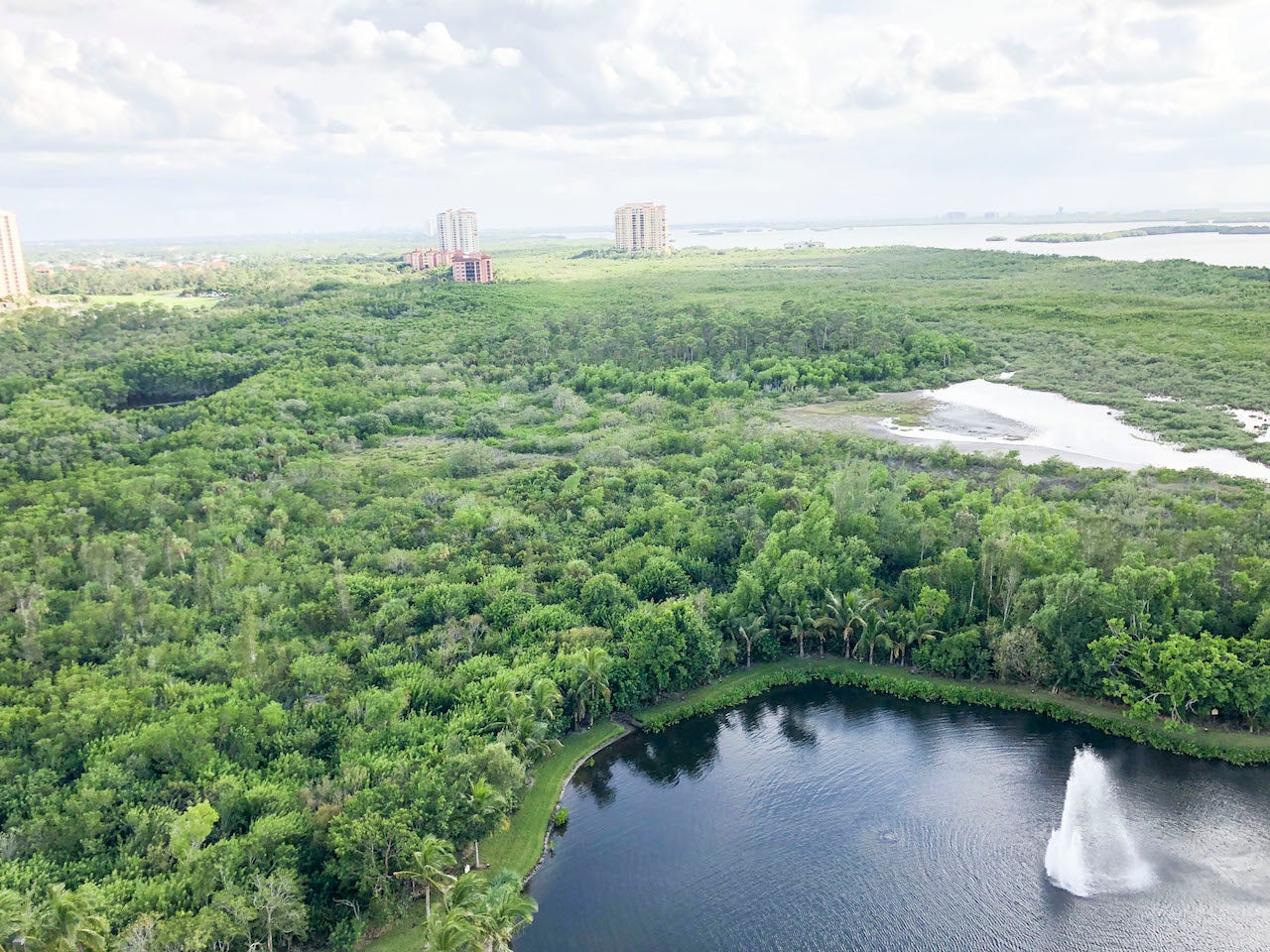 Review Hyatt Regency Coconut Point The Points Guy